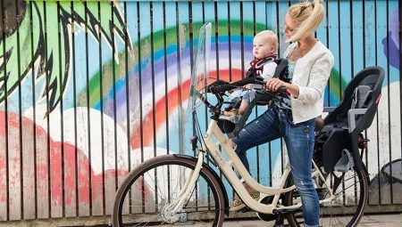 Child bicycle seats on the frame
