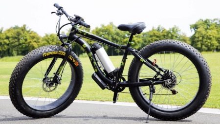 What is a fat bike for and how to choose it?
