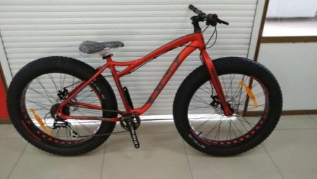 Fatbikes Stels: an overview of models and tips for choosing