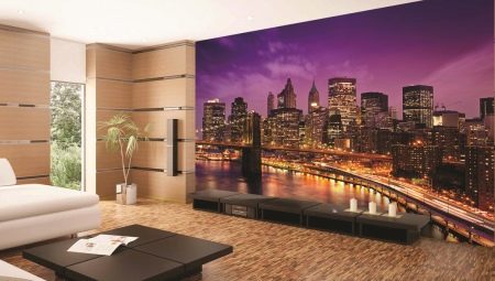 Photo wallpaper in the hall: pros and cons, varieties, choice, examples
