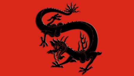 Year of the Dragon: character characteristics and compatibility