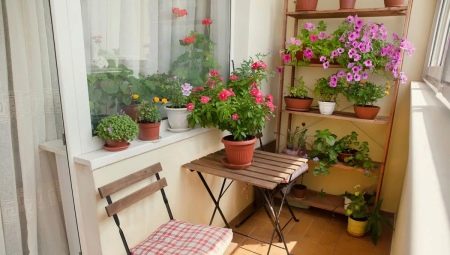 How to use flowers to decorate balconies and loggias?