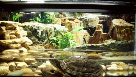 How to set up a turtle aquarium?