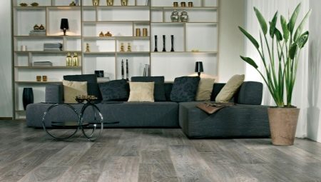 Laminate in the living room: types, selection, care and beautiful examples