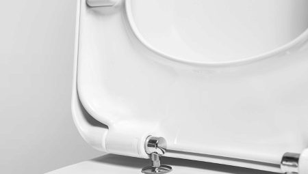 Toilet microlift: what is it, what are the pros and cons?