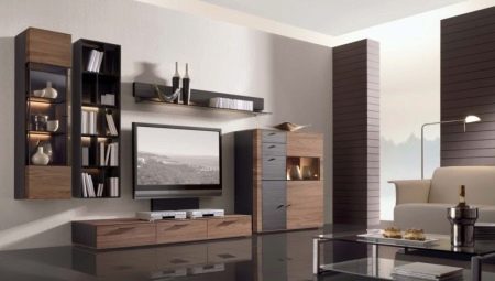 Modular furniture in a modern style for the living room: types and tips for choosing