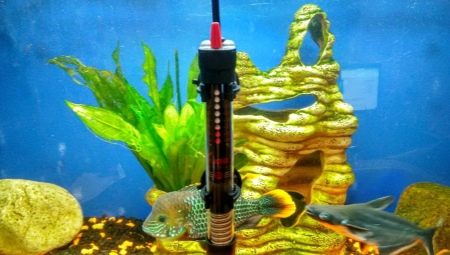 Réchauffeurs d'aquarium: variétés, sélection, installation et utilisation