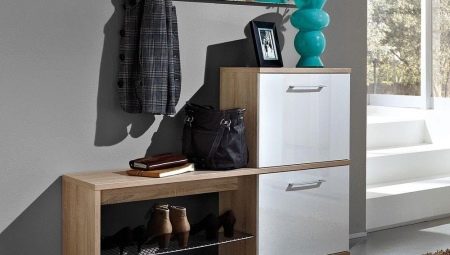 Étagères à chaussures dans le couloir: types, choix et options à l'intérieur