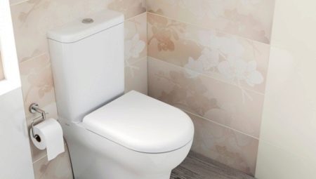 Features of Microlift Toilet Seat
