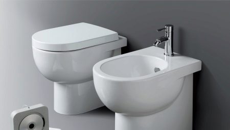 Attached toilets: features, types and installation