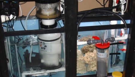 Puisard d'aquarium : qu'est-ce que c'est et à quoi ça sert ?