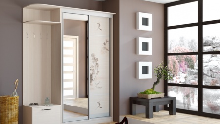Wardrobe 40 cm deep in the interior of the hallway