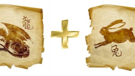 Dragon and Rabbit (Cat) compatibility in friendship, work and love
