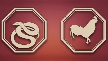 Compatibility of the Snake and the Rooster in various areas