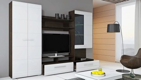 Living room wall: types, choices and options in the interior