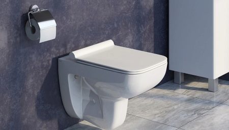 Iddis toilets: range, pros and cons, recommendations for choosing