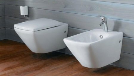 Jacob Delafon toilets: features and range