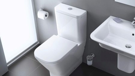 Rosa toilets: product range overview