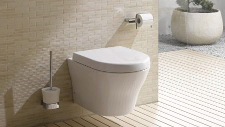 Toilet bowls Toto: models and their characteristics