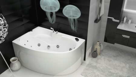 Triton baths: features, varieties, choices