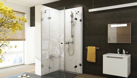 Design options for shower rooms in a private house