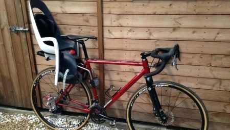 Hamax bicycle seats: features, varieties and tips for choosing