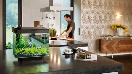 Tout sur les aquariums : types, sélection et application