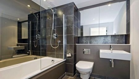Built-in wardrobes in the toilet behind the toilet: types, pros and cons