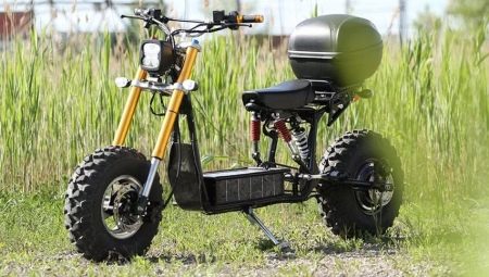 Scooters à essence: caractéristiques, avantages et inconvénients, conseils d'utilisation