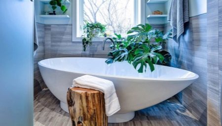 Flowers in the bathroom: types, recommendations for choosing