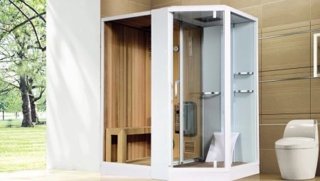 Showers with a sauna: what are there and how to choose?