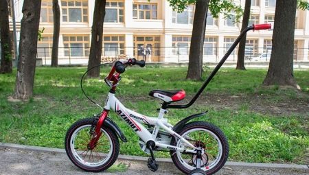Children's two-wheeled bicycles with a handle: an overview of manufacturers and selection criteria