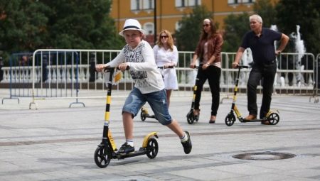 Two-wheeled scooters: what are they and how to choose?