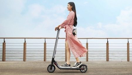 電動滑板車:特點、製造商和選擇技巧