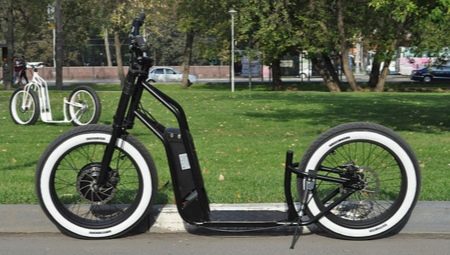 Trottinettes électriques à grandes roues: caractéristiques et évaluation des fabricants