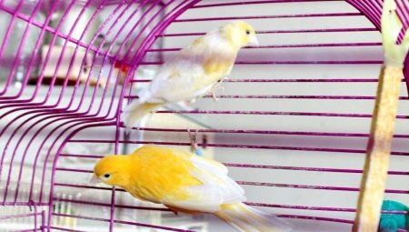How to distinguish a canary from a canary?