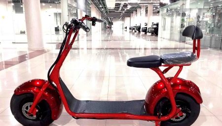 How to choose a double electric scooter?