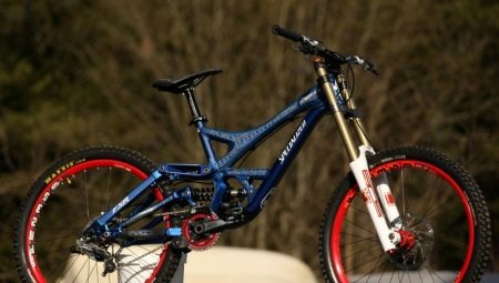 How to choose a bike for freeriding?