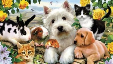What kind of pet is better to have in the apartment?