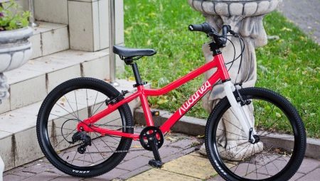 Review of models of children's bicycles Lisaped