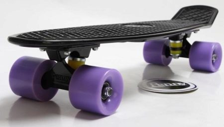 Penny boards: how are they different from a skateboard, what are they and how to choose?