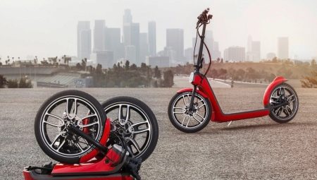 Scooter con ruote grandi