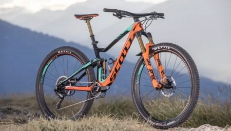 Speed bikes: model types, brand overview and tips for choosing