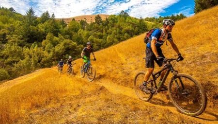 Vélos de sport : caractéristiques et conseils pour choisir