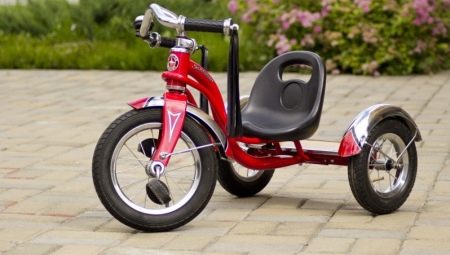 Tricycles for children from 2 years old: types and choices