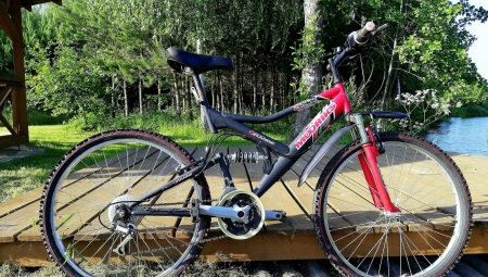 26-inch MTB bike: features and varieties