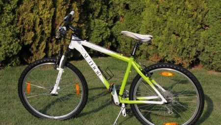 Author bicycles: model characteristics and recommendations for choosing