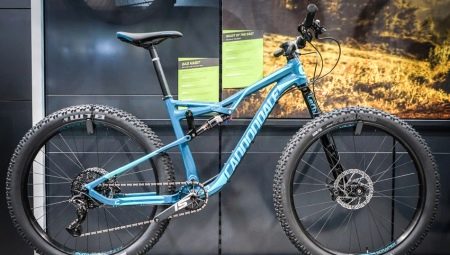 Cannondale bicycles: range, advice on selection and use
