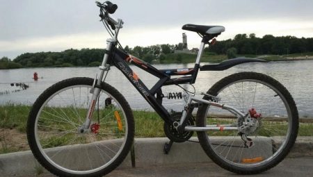 Challenger bicycles: lineup and subtleties of choice