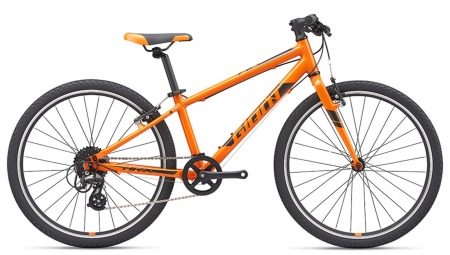 Giant bicycles: model range and operating rules